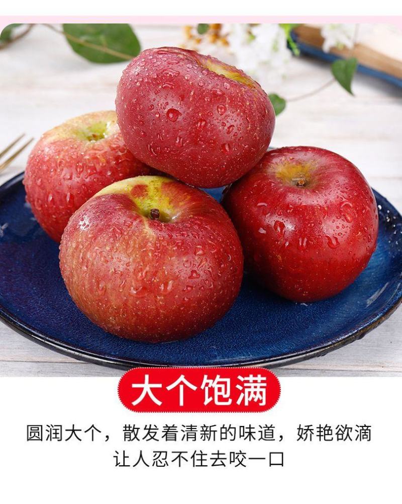 【一件代发，社区团购】大凉山昭通丑冰糖心苹果净重