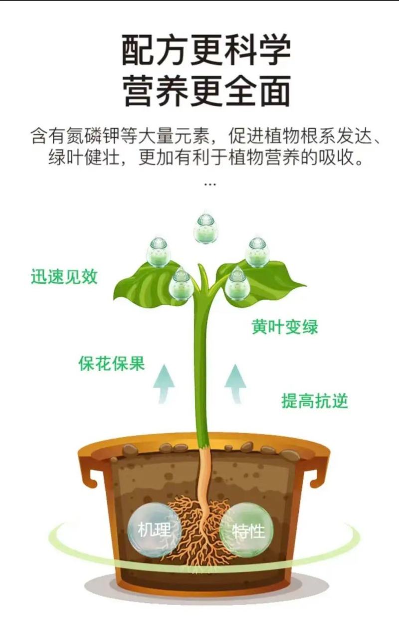 有机海藻氮钾肥高浓缩高氮高钾海藻肥增收增产代替尿素追肥