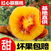 蒲江红心猕猴桃基地直供货源充足，品质保证，现摘现发
