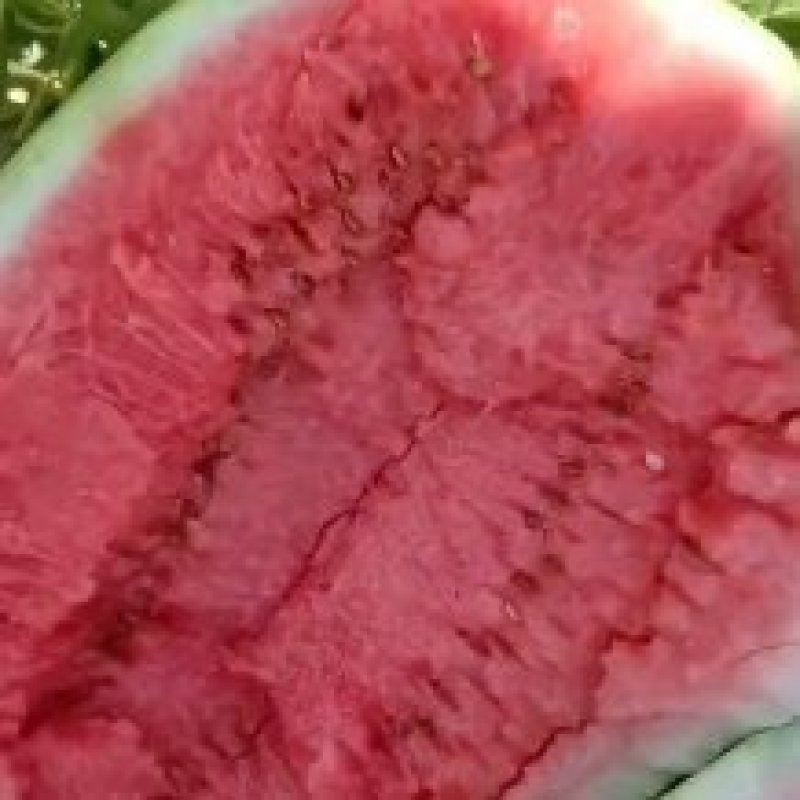 山西万荣黄河滩西瓜金城5，金花六，甜王，皮薄瓤甜货源充足
