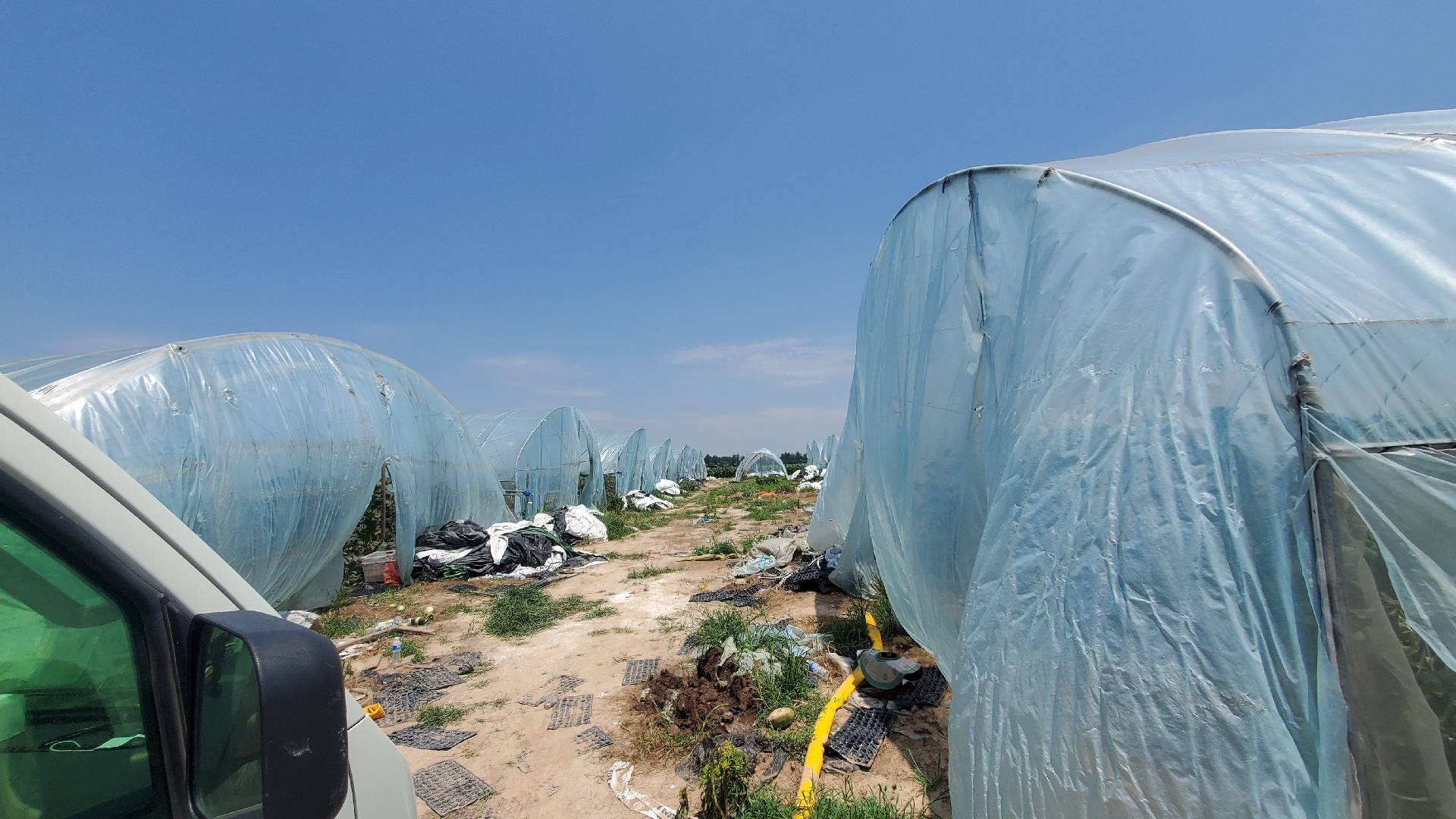 图示:标准化喷雾机在新疆哈密甜瓜基地作业,喷杆高度精准调至48 cm,扇形雾流均匀覆盖垄面,操作员佩戴防护装备,背景可见刚播种覆土的甜瓜垄,土壤呈湿润深褐色 甜瓜田封闭除草剂喷施作业现场