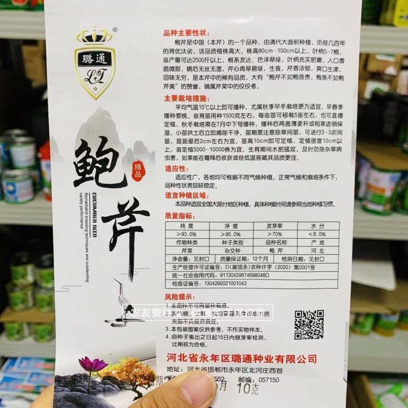 鲍芹种子礼品芹菜种子高品质芹菜基地专用芹菜籽芹香浓郁