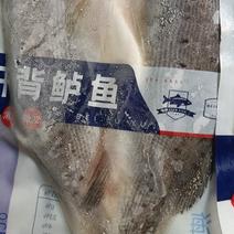 连云港开背鲈鱼大量供应对接全国可视频看货