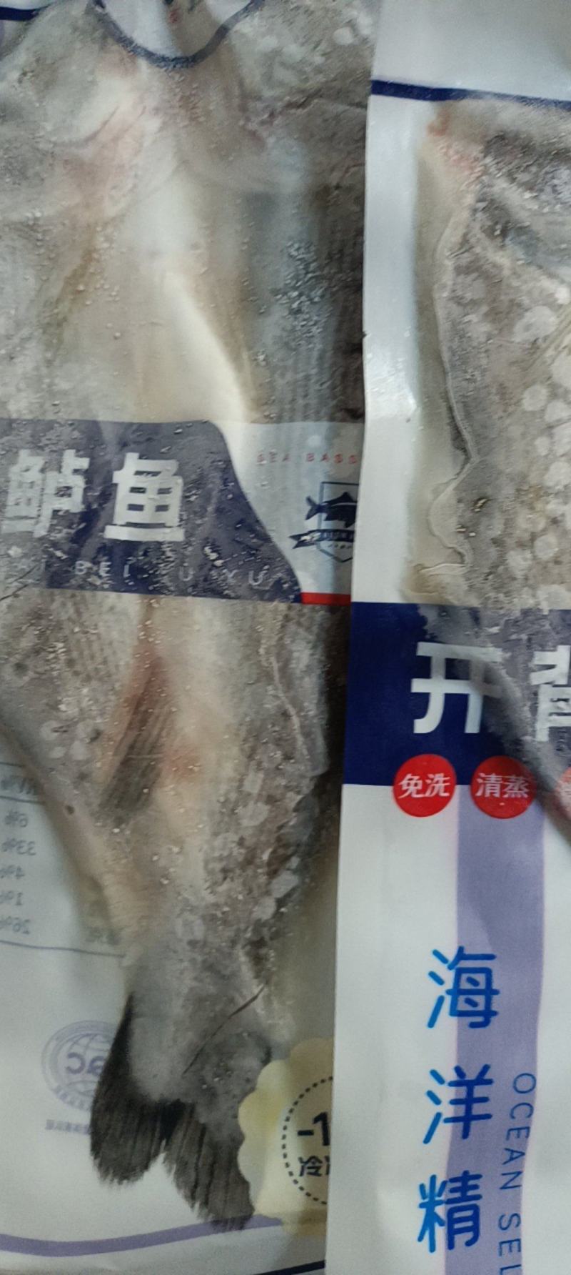 连云港开背鲈鱼大量供应对接全国可视频看货