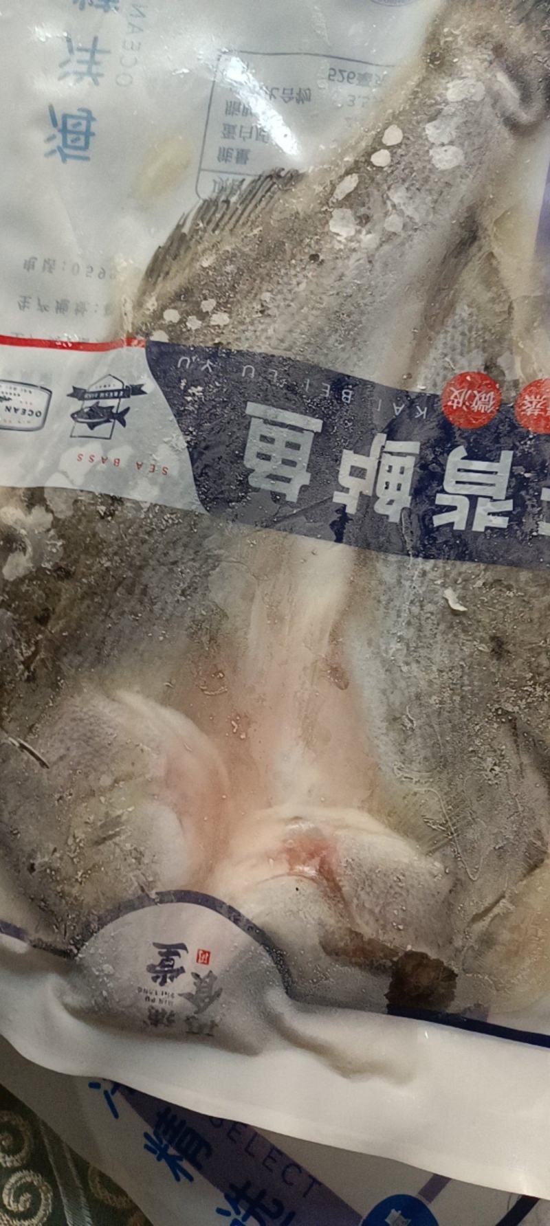 连云港开背鲈鱼大量供应对接全国可视频看货