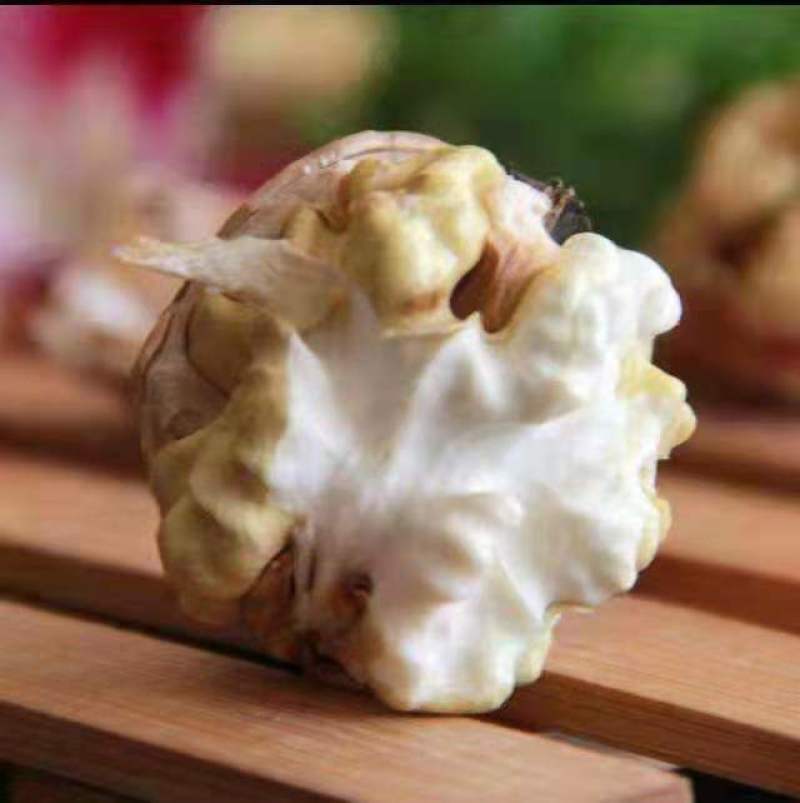 青皮核桃，大量供货上市，青皮核桃，支持全国接单发货可自提