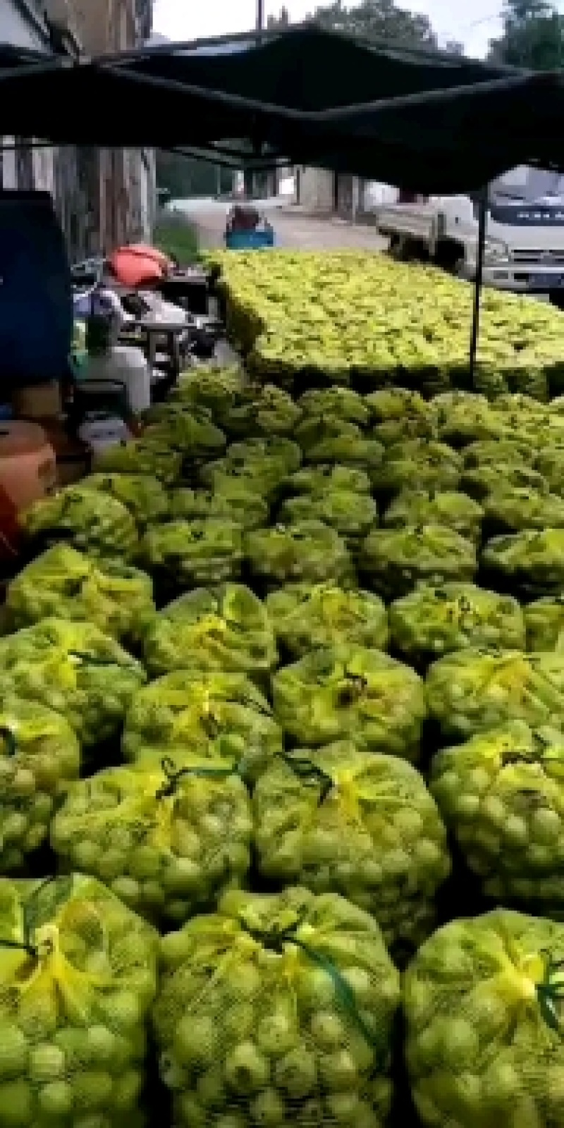 青皮核桃，大量供货上市，青皮核桃，支持全国接单发货可自提