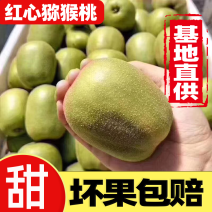 蒲江红心猕猴桃基地直供支持整车批发一件代发