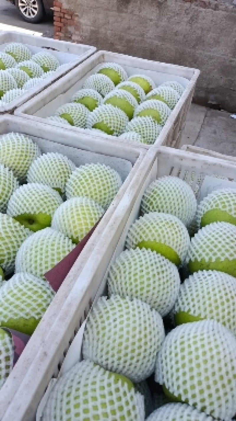 皇冠梨，大量发货，口感甜，货源充足，保质保甜
