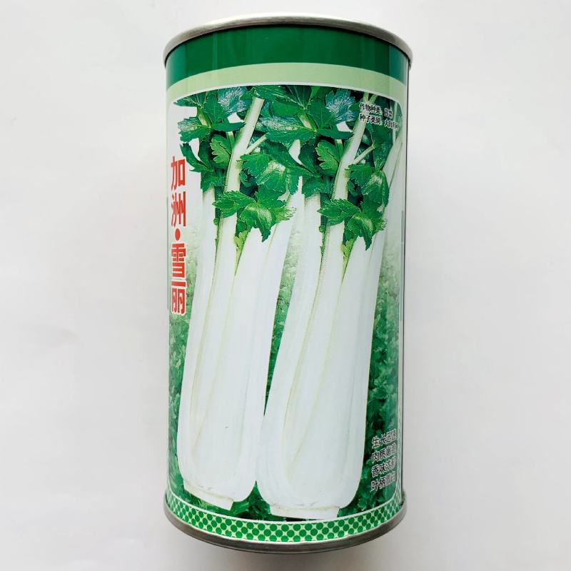 蔬菜基地专用白芹种子香味浓杆洁白耐热耐寒白色芹菜种子
