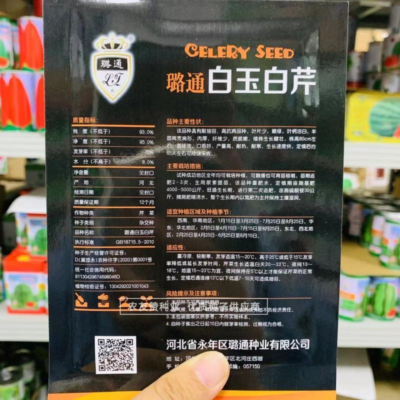 蔬菜基地专用白芹种子香味浓杆洁白耐热耐寒白色芹菜种子