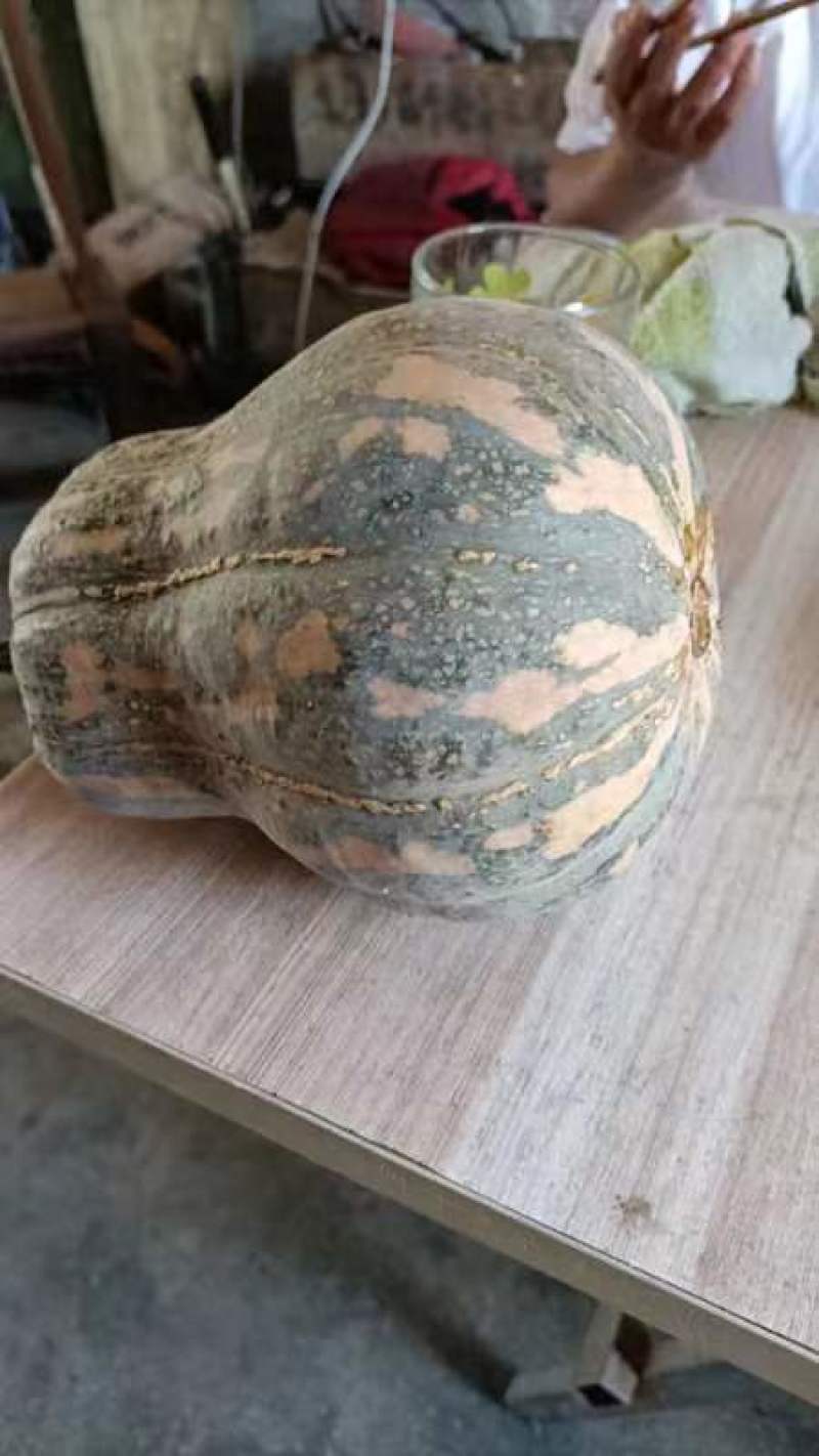 荷香南瓜产地直供