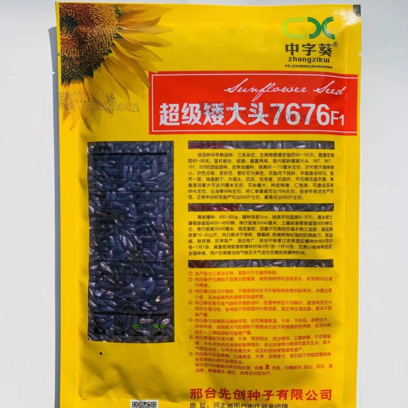 向日葵种子观赏可食用种植四季易种易活大面积种植观赏