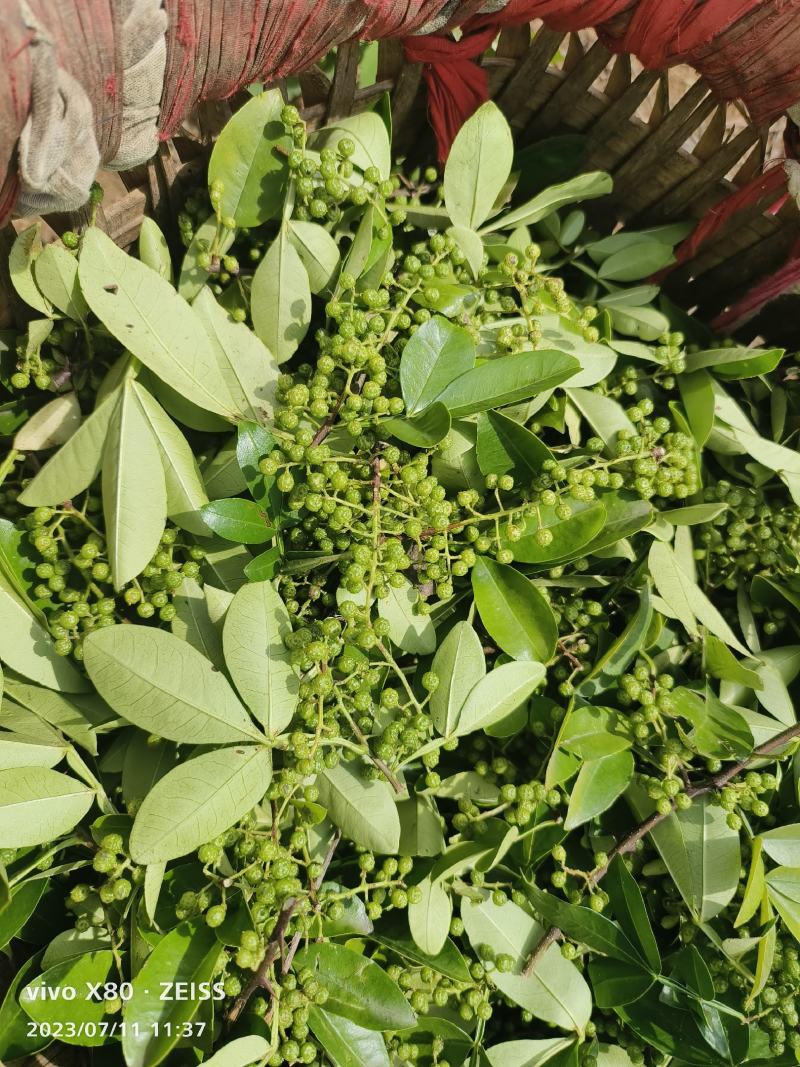 青花椒