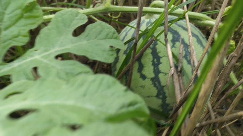 昆山花桥露天美都