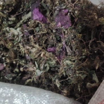 中药材风柜斗草干货统货，有需要多少联系我。全国发货
