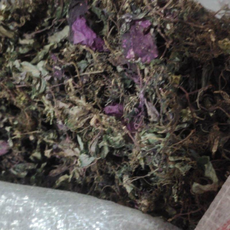中药材风柜斗草干货统货，有需要多少联系我。全国发货