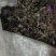 中药材风柜斗草干货统货，有需要多少联系我。全国发货