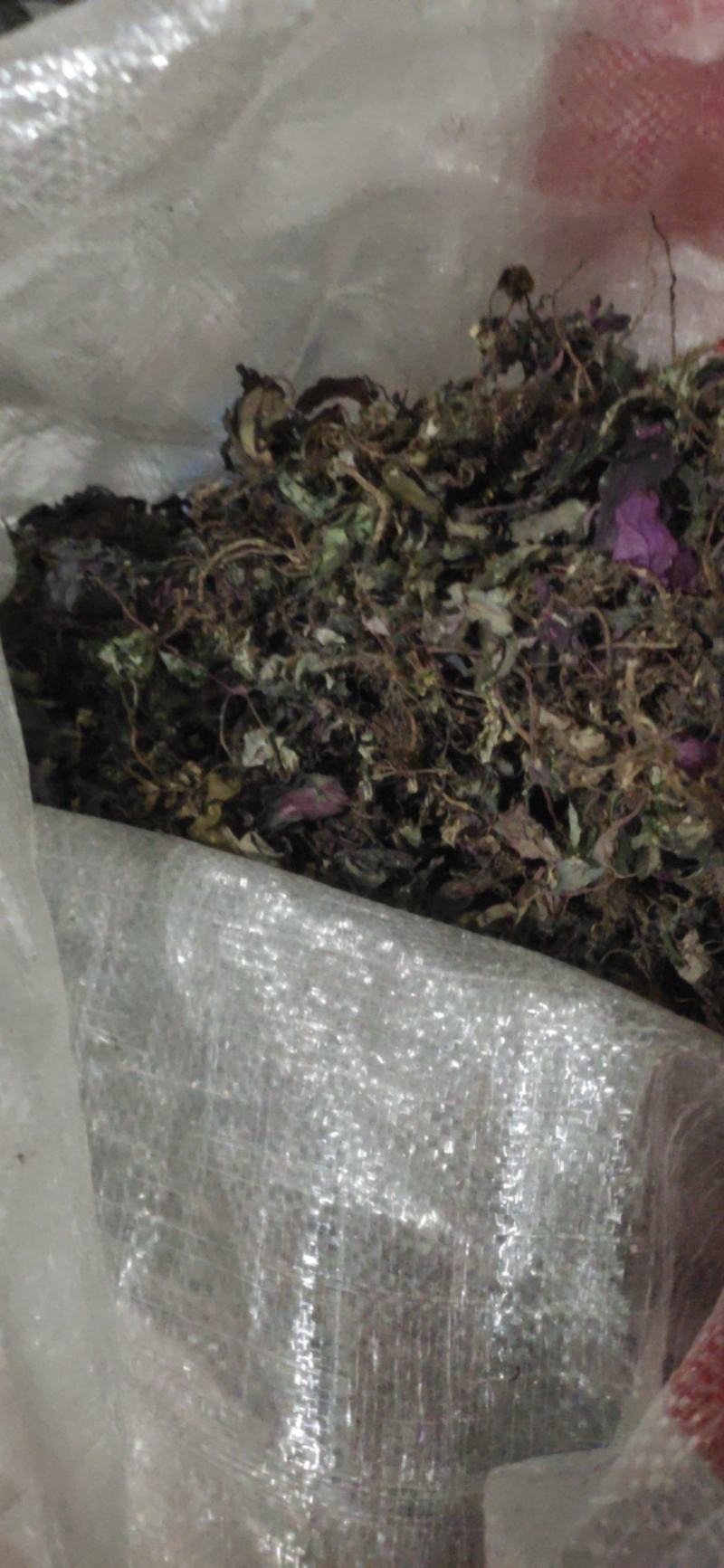中药材风柜斗草干货统货，有需要多少联系我。全国发货