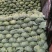 【精品奥奇娜甘蓝】无虫眼无烧边,保质保量欢迎来电