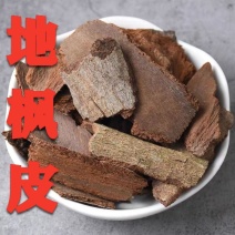 地枫皮追地风钻地风桐叶藤500g5g利筋藤奇草中