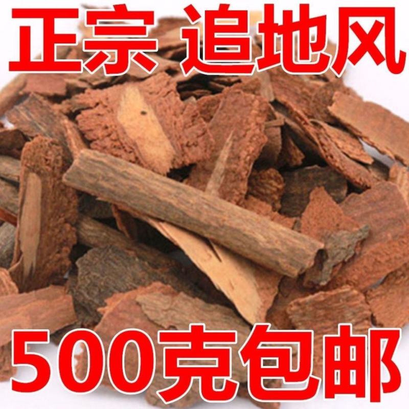 地枫皮追地风钻地风桐叶藤500g5g利筋藤奇草中