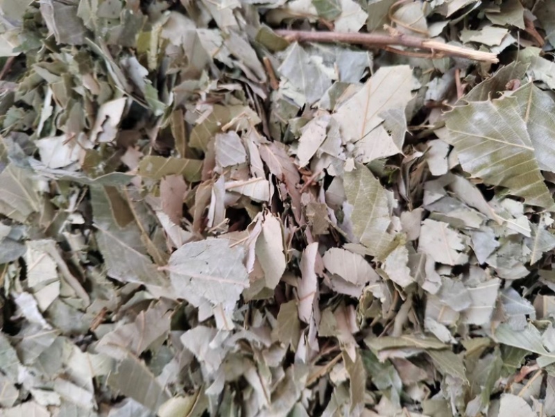 [热卖]甘肃净装货淫羊藿干货产地直发品质保证