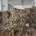 [热卖]甘肃净装货淫羊藿干货产地直发品质保证