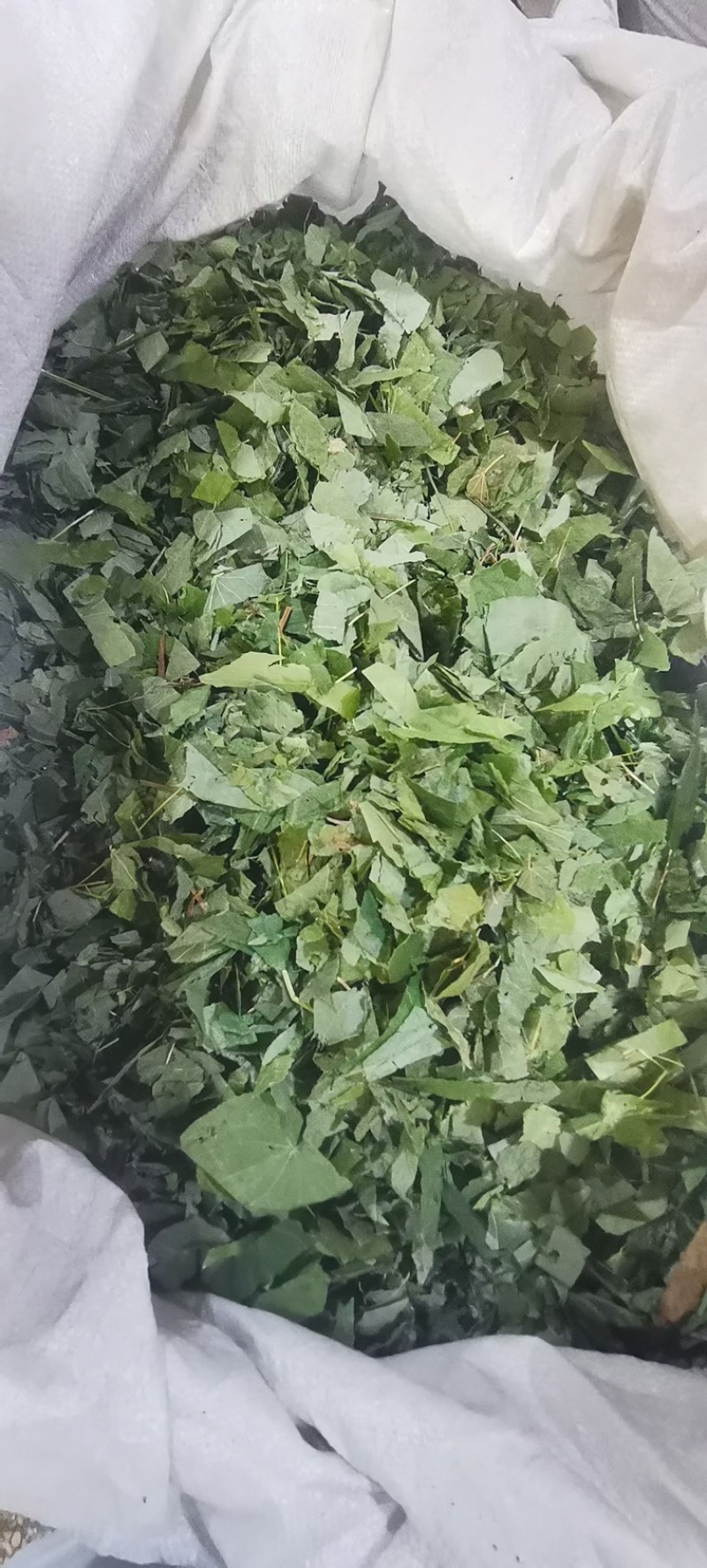 [热卖]甘肃净装货淫羊藿干货产地直发品质保证