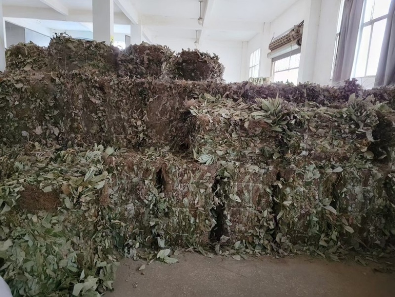 [热卖]甘肃净装货淫羊藿干货产地直发品质保证