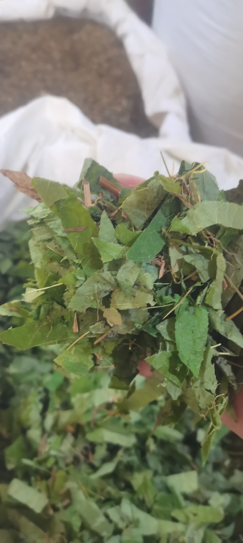 [热卖]甘肃净装货淫羊藿干货产地直发品质保证