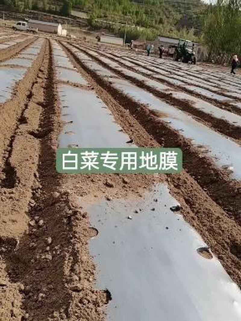 【辣椒专用】银黑打孔地膜白菜玉米西红柿草莓防草反光