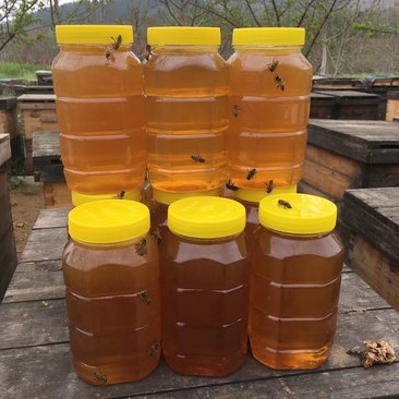 山东烟台自产蜂蜜、枣花蜜、槐花蜜、苹果蜜
