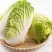 黄心白菜苗耐高温高湿抗寒抗病毒义和秋玲珑黄可代育苗代发