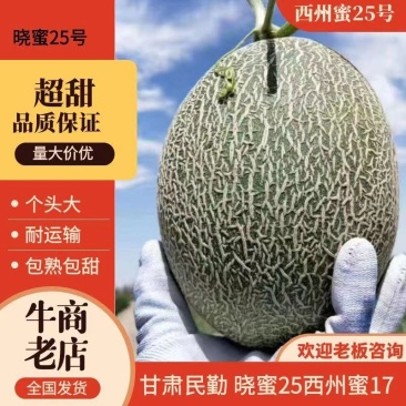 甘肃晓蜜25哈密瓜民勤哈密瓜产地直发量大从优欢迎电联