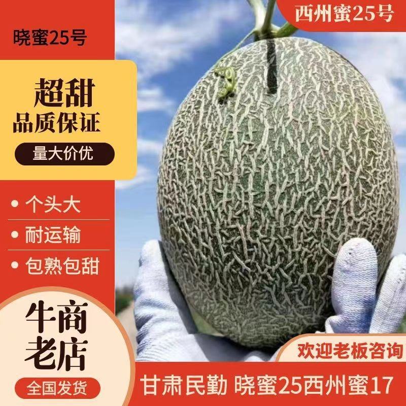 甘肃晓蜜25哈密瓜民勤哈密瓜产地直发量大从优欢迎电联