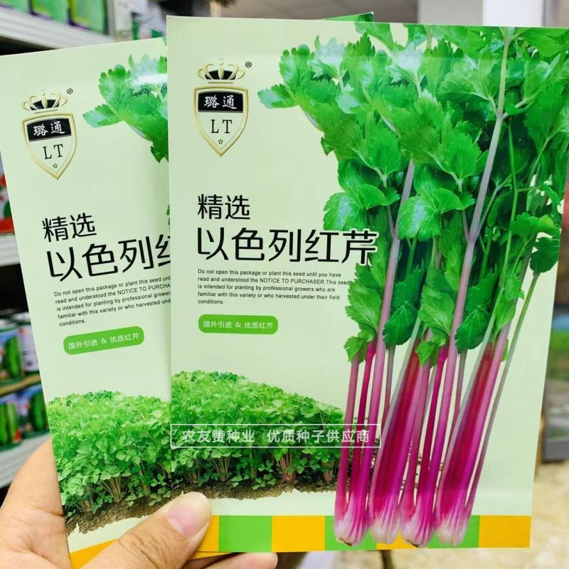 以色列引进品种红芹种子红色芹菜种子特色蔬菜红根芹菜种子
