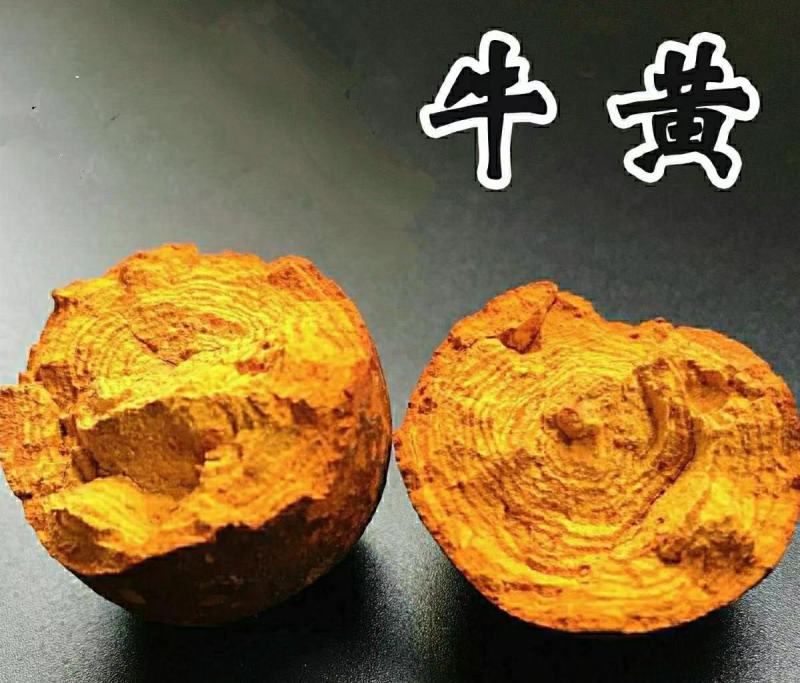 牛黄中药材牛黄牛结石牛胆黄质量保证包邮