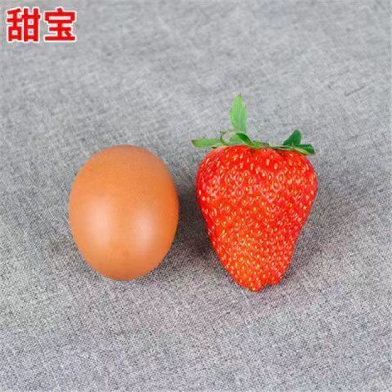 红颜草莓苗甜宝草莓苗奶莓苗耐高温高湿抗病毒抗寒保活包回收