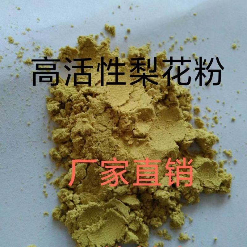 《花粉》梨花粉，梨花，粉质纯正零售批发货源充足全国发货