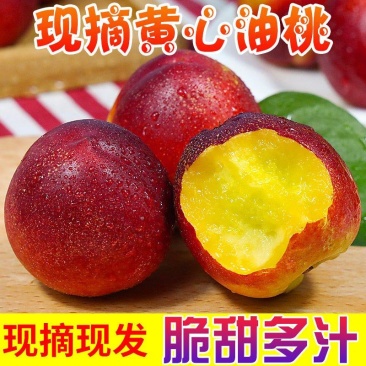 油桃中油油桃黄油桃坏果包赔保证价格真实，请来电