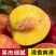 油桃中油油桃黄油桃坏果包赔保证价格真实，请来电
