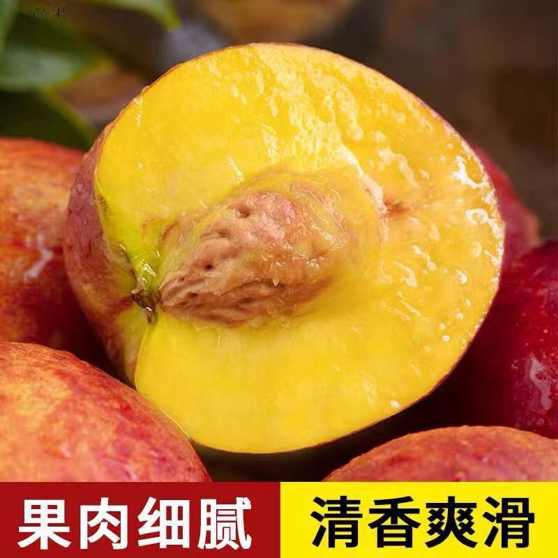 油桃中油油桃黄油桃坏果包赔保证价格真实，请来电