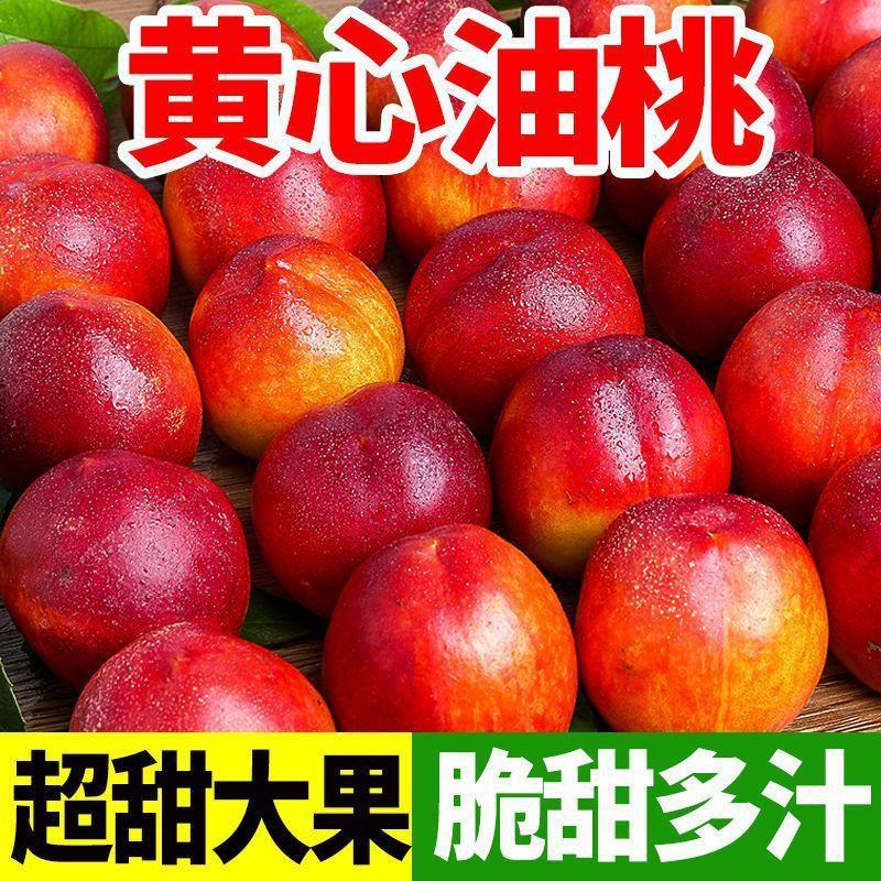 油桃中油油桃黄油桃坏果包赔保证价格真实，请来电