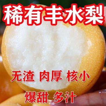 [热卖]山东丰水梨梨个大汁多品种齐全专业代办