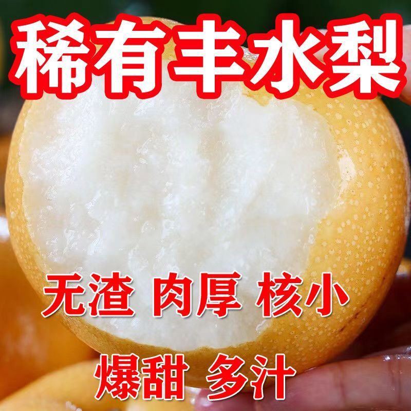 [热卖]山东丰水梨梨个大汁多品种齐全专业代办