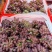 茉莉香葡萄〔精品〕口感甜颜色红，现摘现发货糖度高一斤起步