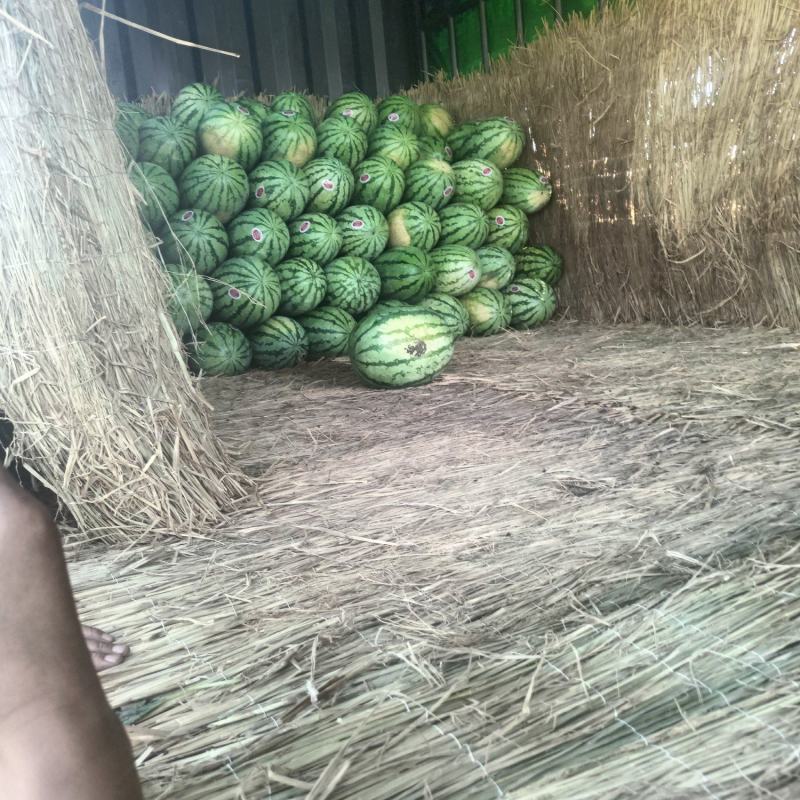 山西万荣黄河滩西瓜金城5，金花六，甜王，皮薄瓤甜货源充足