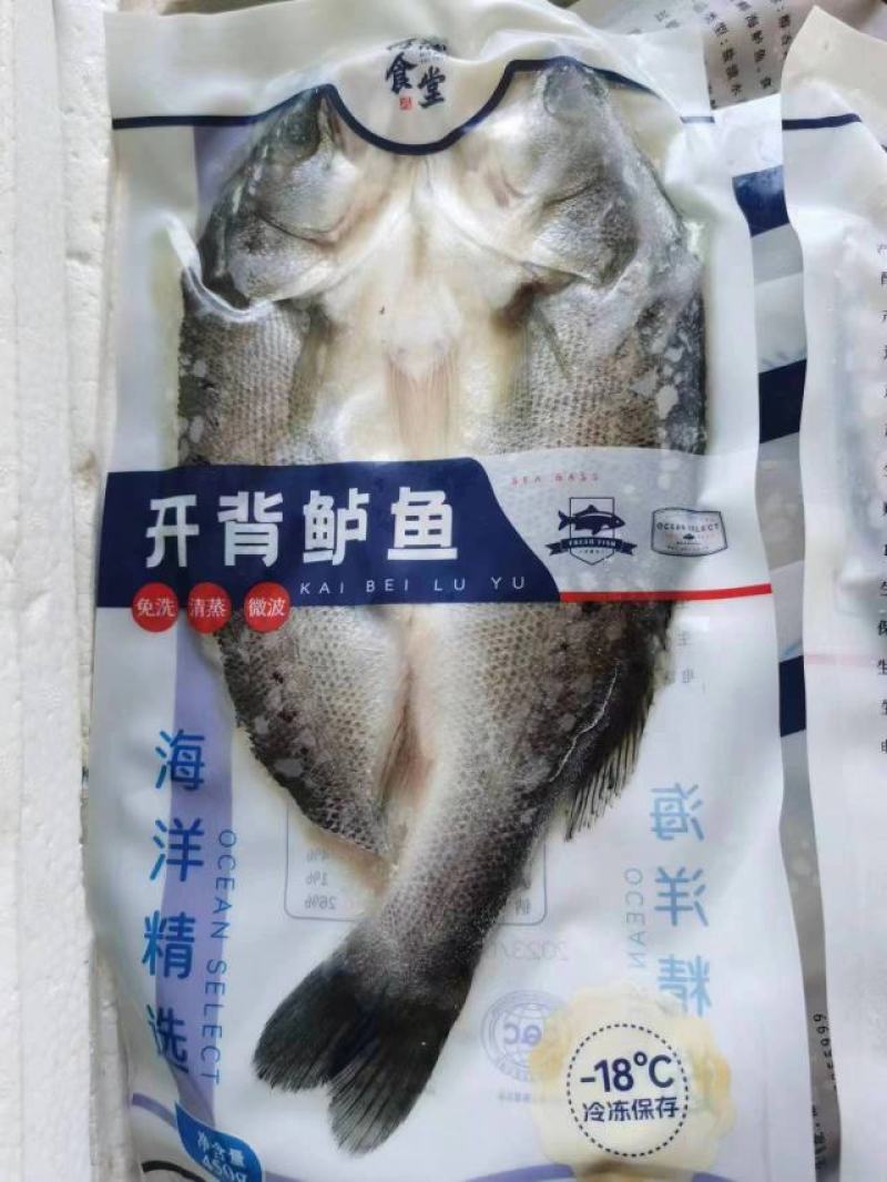 连云港开背鲈鱼大量供应对接全国可视频看货