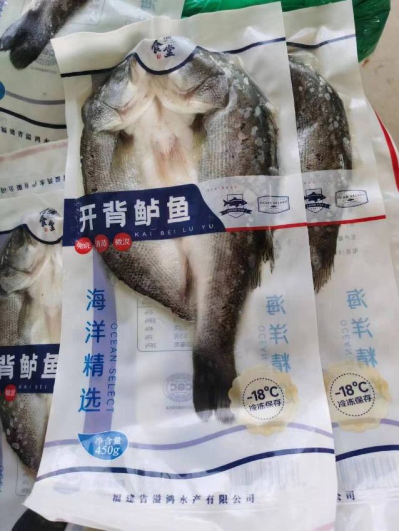 连云港开背鲈鱼大量供应对接全国可视频看货